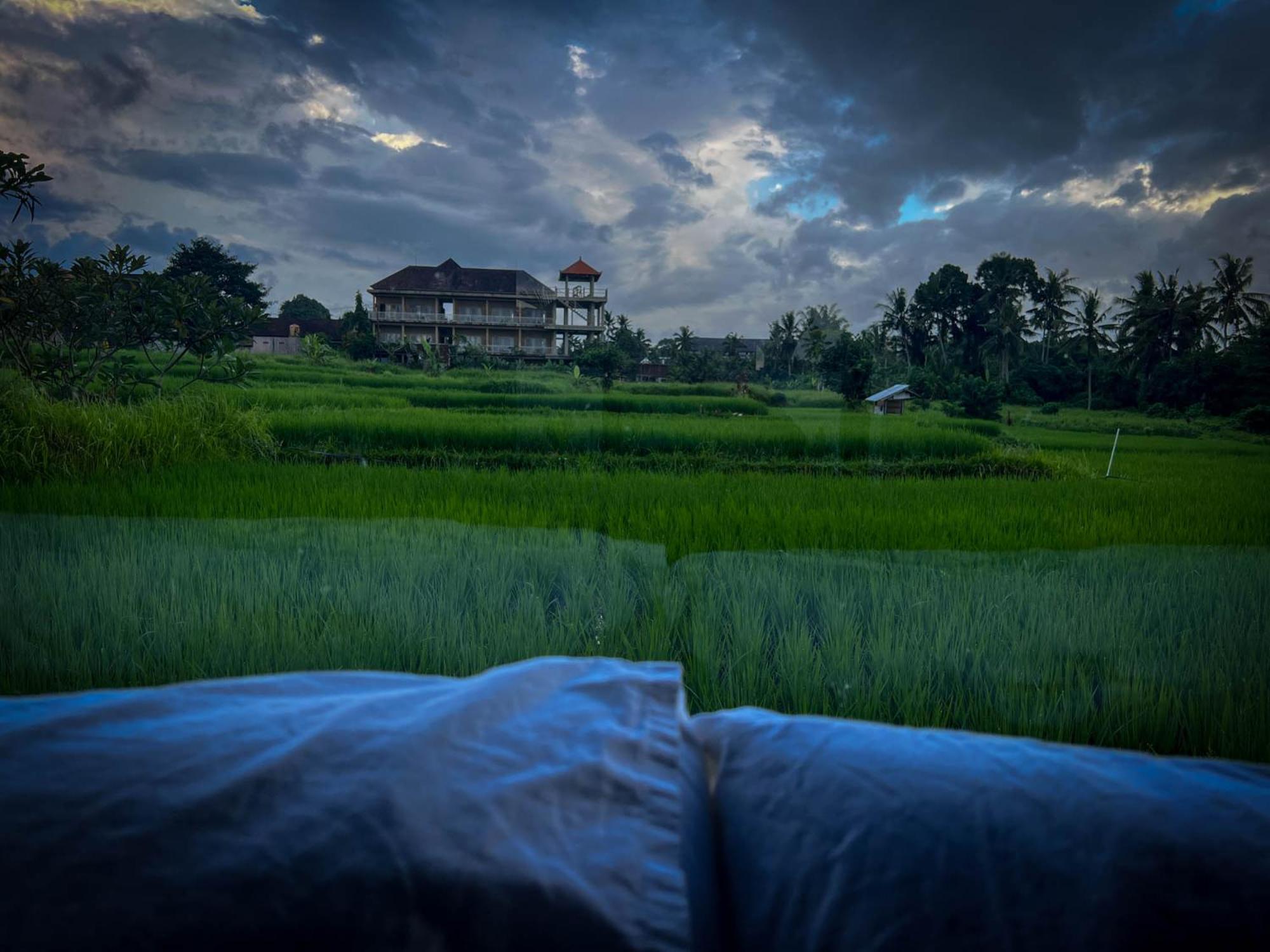 Villa Karma Ubud Extérieur photo